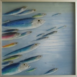 41 x 41 cm - Tins of sardines