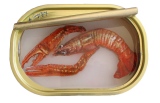 11 x 16 cm - Tins of sardines