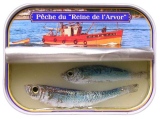 10 x 8 cm - Tins of sardines
