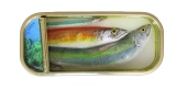 21 x 9 cm - Tins of sardines