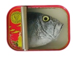 10 x 8 cm - Tins of sardines