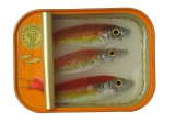 10 x 8 cm - Tins of sardines