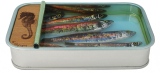 22 x 13 cm - Tins of sardines