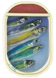 11 x 16 cm - Tins of sardines