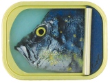10 x 8 cm - Tins of sardines