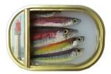 11 x 16 cm - Tins of sardines