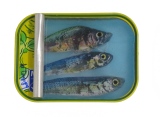 10 x 8 cm - Tins of sardines