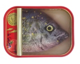 10 x 8 cm - Tins of sardines