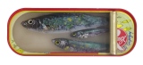 16,5 x 6,5 cm - Tins of sardines