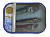 10 x 8 cm - Tins of sardines